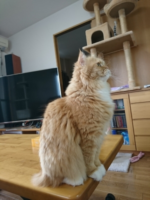 DSC_1679.jpg