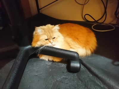 DSC_1698.jpg