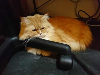 DSC_1699.jpg
