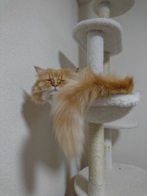 DSC_1761.jpg