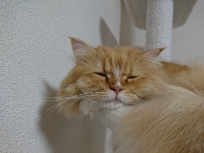 DSC_1757.jpg