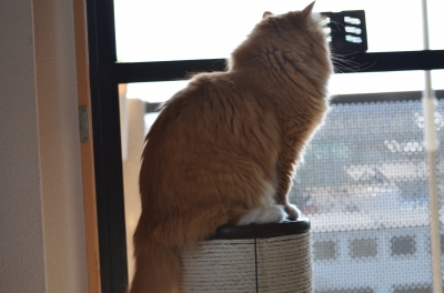 DSC_3626.JPG