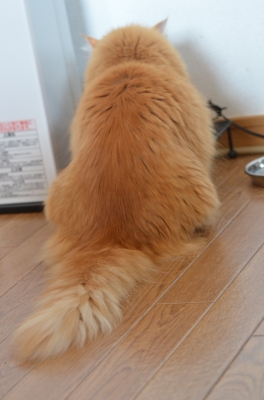DSC_3621.JPG