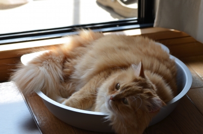 DSC_3608.JPG