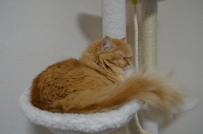 DSC_3695.JPG