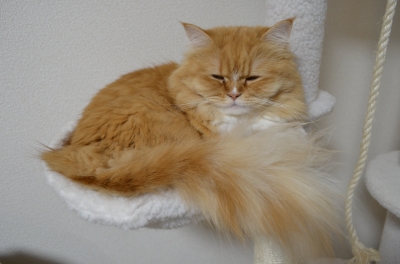 DSC_3688.JPG
