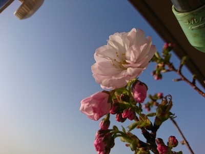 DSC_1835.jpg