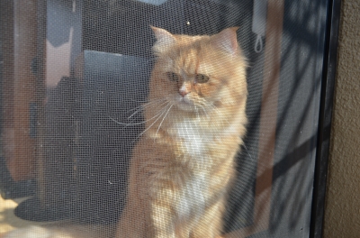 DSC_3709.JPG