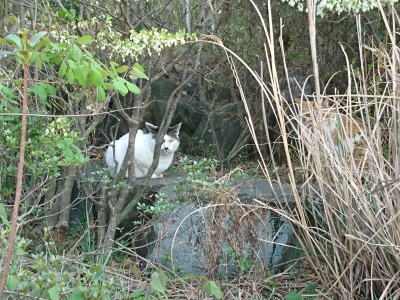 DSC_1876.jpg