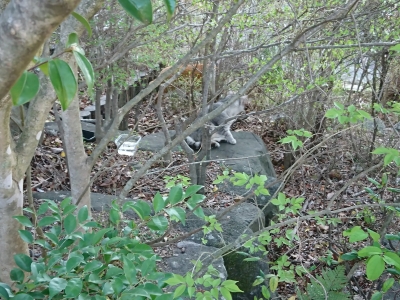 DSC_1873.jpg
