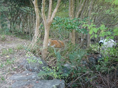 DSC_1869.jpg