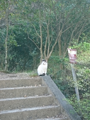 DSC_1865.jpg