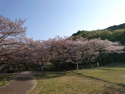 DSC_1844.jpg