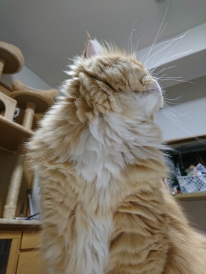 DSC_1884.jpg