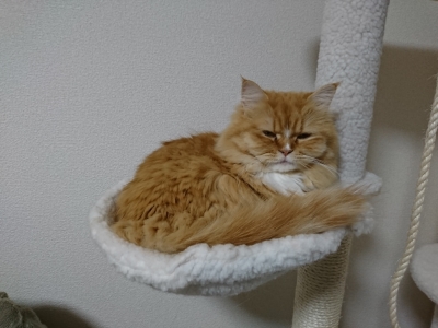 DSC_1888.jpg