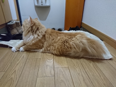 DSC_1890.jpg