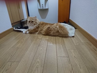 DSC_1891.jpg