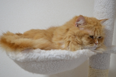 DSC_3717.JPG