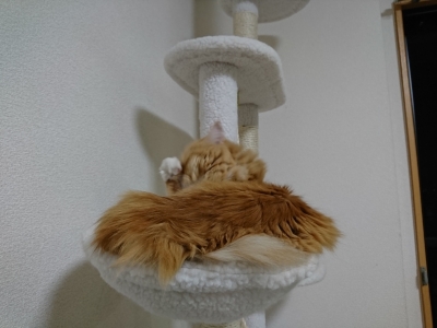 DSC_2018.jpg