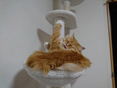 DSC_2017.jpg