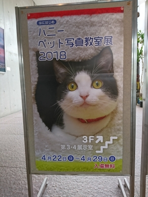 DSC_2051.jpg