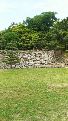 DSC_0753.jpg