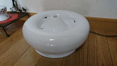 DSC_2340.jpg