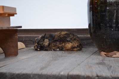 DSC_3784.JPG