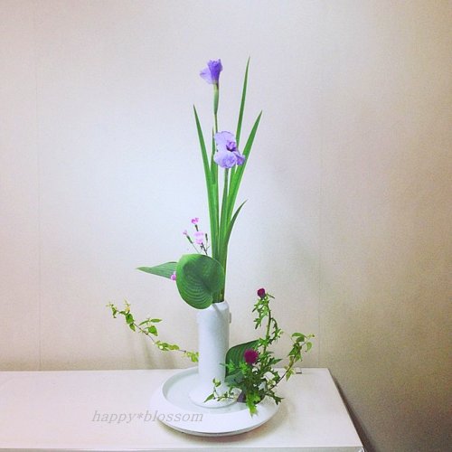 20140514.jpg