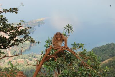 BeFunky_Mahabaleshwar2.jpg.jpg