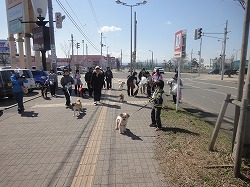DSC05438.jpg