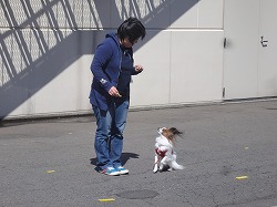 DSC06217.jpg