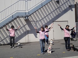 DSC06289.jpg