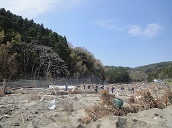 DSC05219.jpg