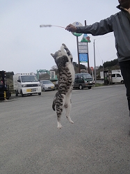DSC09239.jpg