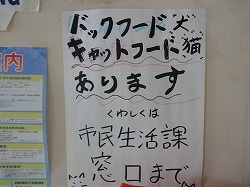 DSC09761.jpg