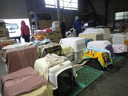 DSC09803.jpg