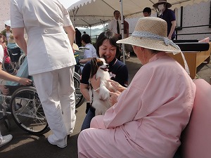 DSC02546.jpg