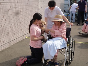 DSC02554.jpg