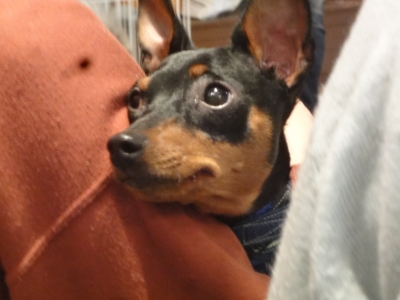 DSC08063.JPG