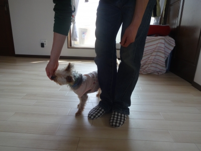 DSC01680.JPG