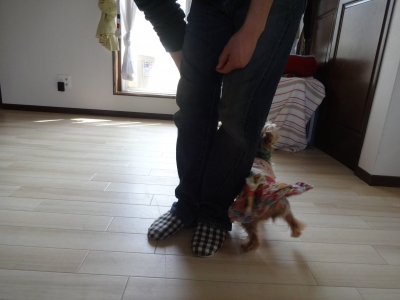 DSC01681.JPG