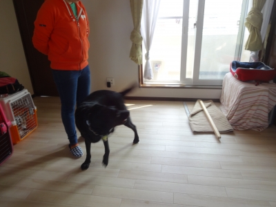 DSC01690.JPG