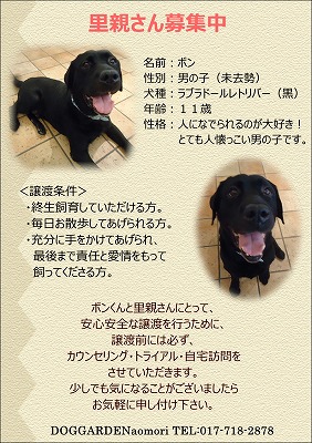 里親募集.jpg
