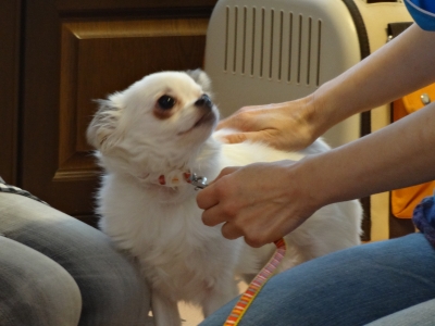 DSC00565.JPG