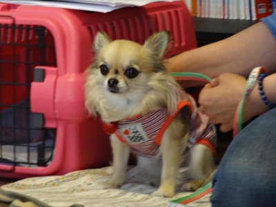 DSC00568.JPG