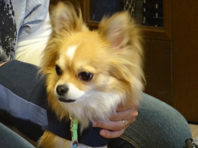 DSC00605.JPG