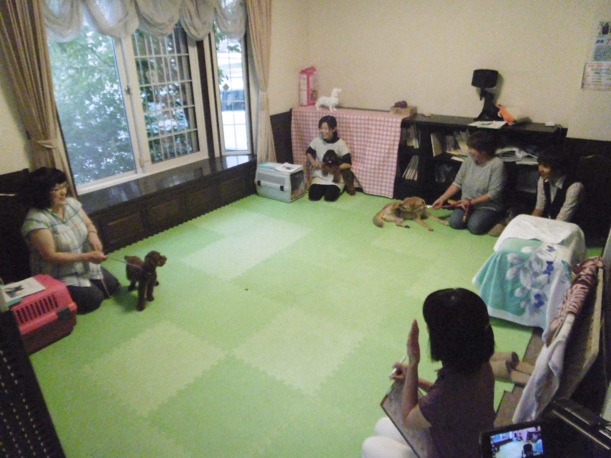 P1000275.JPG