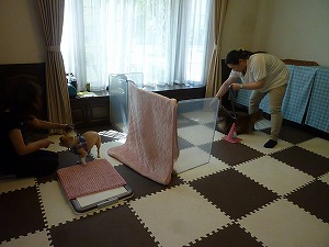 P2250532.jpg