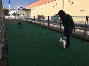 IMG_2716.jpg